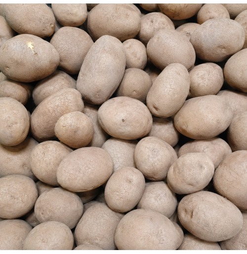 OOTY Potato (Fresh Harvest)